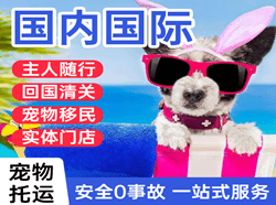 遵义茅台机场货运国际宠物托运 【国
